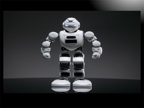33. Can the robotic arm be OEM and what is the content of the OEM?